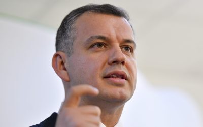 Președintele desemnează mâine dacă are majoritate solidă