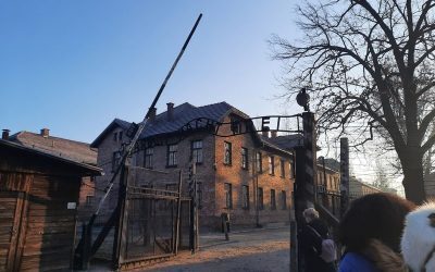 Lider polonez de extremă dreapta, acuzat de negarea Holocaustului la Auschwitz