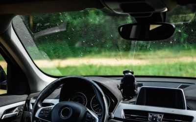 Insectele dispar: De ce se întâmplă asta pe parbrizul tău vara