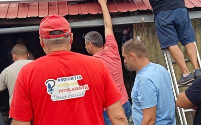 Case izolate electrificate prin programul „Energie pentru Viață”