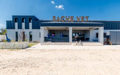 Spital veterinar, la o oră de București, pentru 5.000 de suflete necuvântătoare
