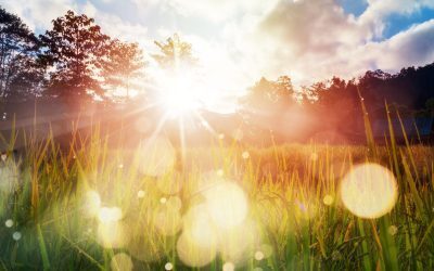 România în fierbere: 37 de grade, caniculă de weekend