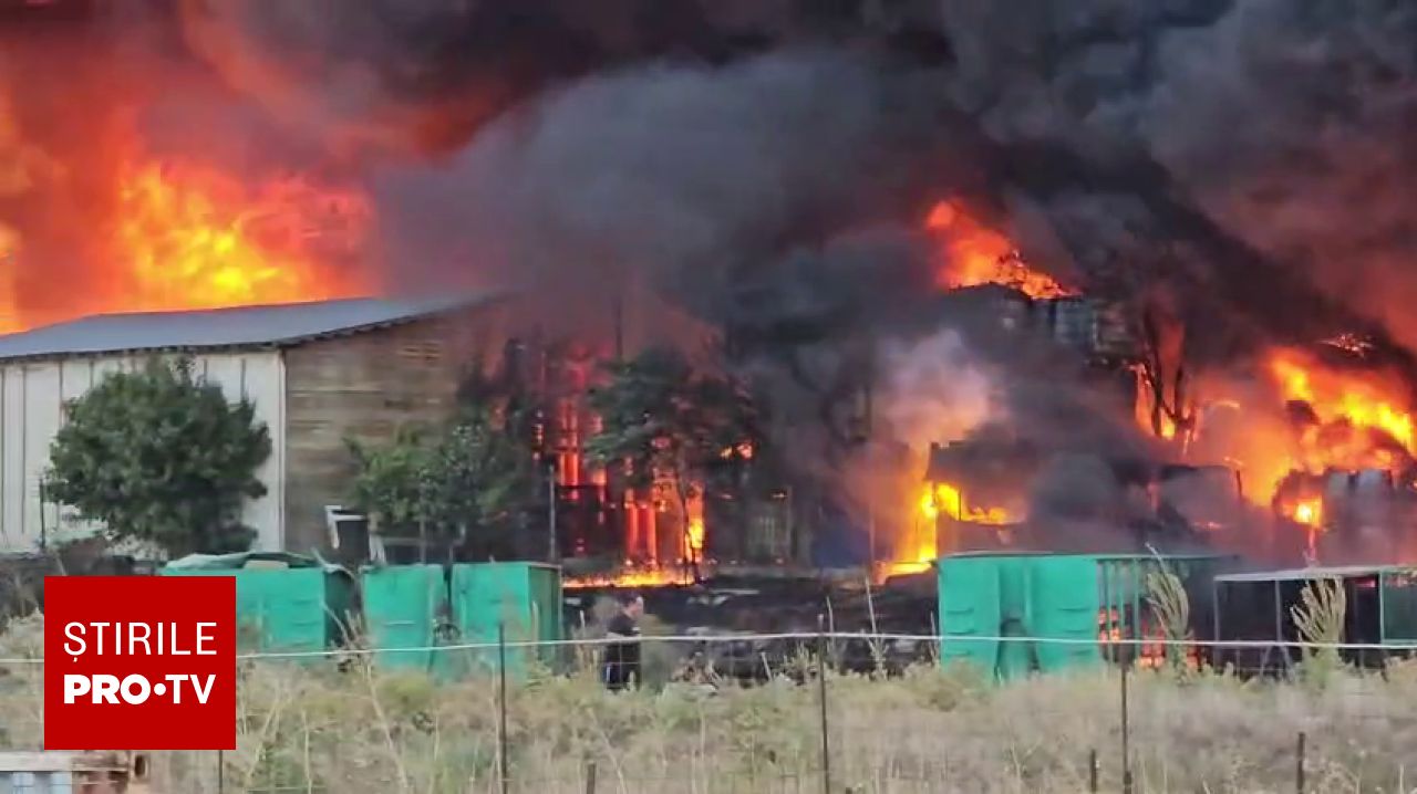 Incendiu puternic la un centru de colectare a maselor plastice, în Lumina. A fost emis RO-Alert din cauza fumului gros