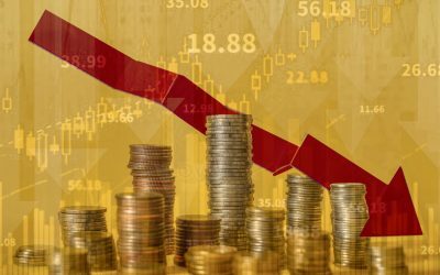Consilier prezidențial: Economia României, pe marginea recesiunii