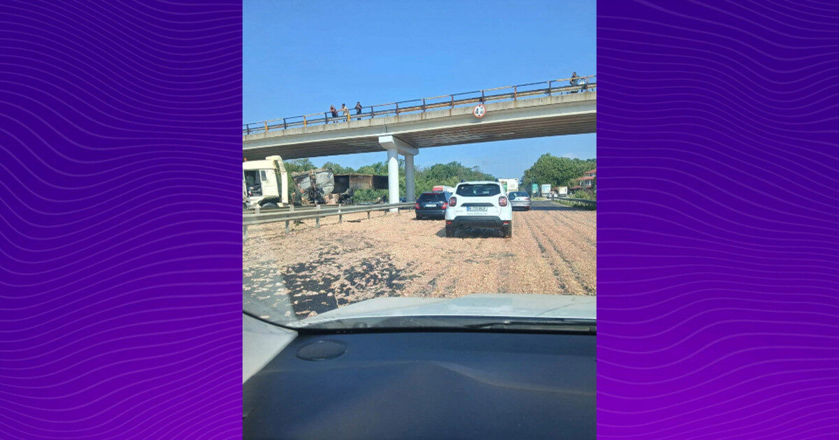 TIR cu carne de pui, dezastru pe A1 București–Pitești