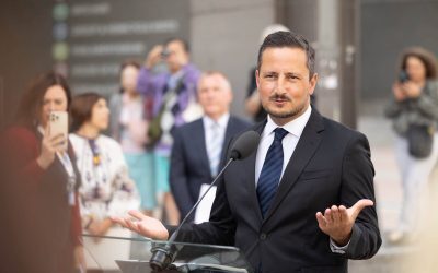 Ștefănuță, copreședinte Verzilor UE
