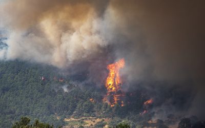 MAE: Risc mare de incendii în Valencia. Autoritățile, în alertă