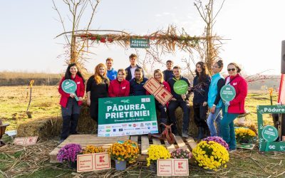 Investiții ce schimbă vieți: CSR-ul, motorul comunităților