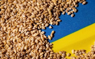 Portul Constanța, esențial în exportul cerealelor ucrainene. Kievul vrea coridor prin Republica Moldova (Reuters)