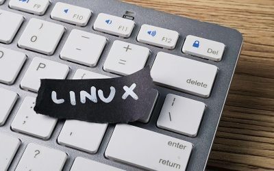 Linux, un colos digital: de la student la „peste tot”