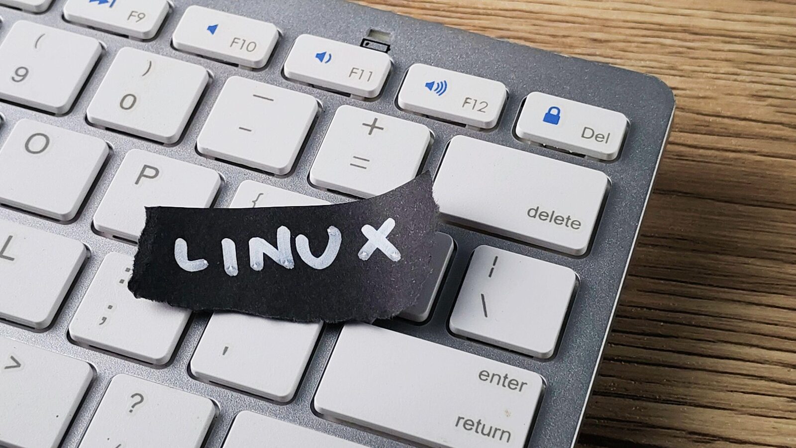 Linux, un colos digital: de la student la „peste tot”