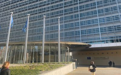 S&D: Românii plătesc prețul standardelor duble la PNRR