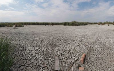 Seceta persistă: Ploile de vară, neputincioase. Climatolog explică