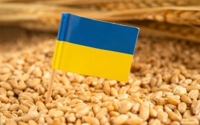 Ucraina cere UE 220 mil. € pentru fermierii loviți de război și secetă