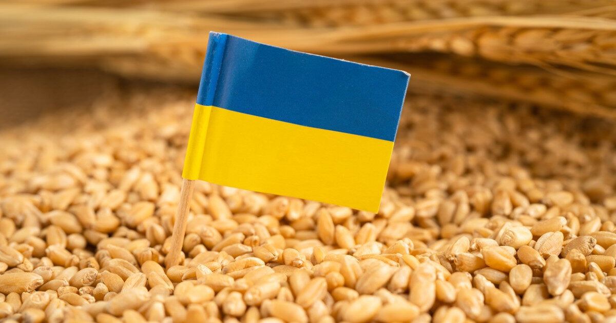 Ucraina cere UE 220 mil. € pentru fermierii loviți de război și secetă
