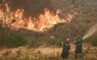 Incendiu devastator în Halkidiki: Turiști evacuați pe mare, flăcări uriașe