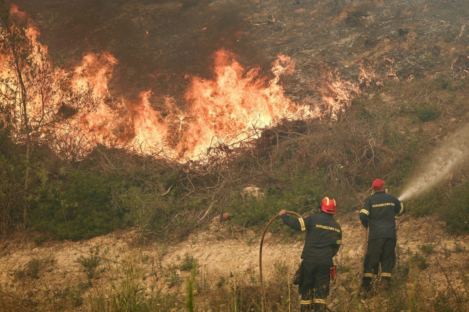Incendiu devastator în Halkidiki: Turiști evacuați pe mare, flăcări uriașe