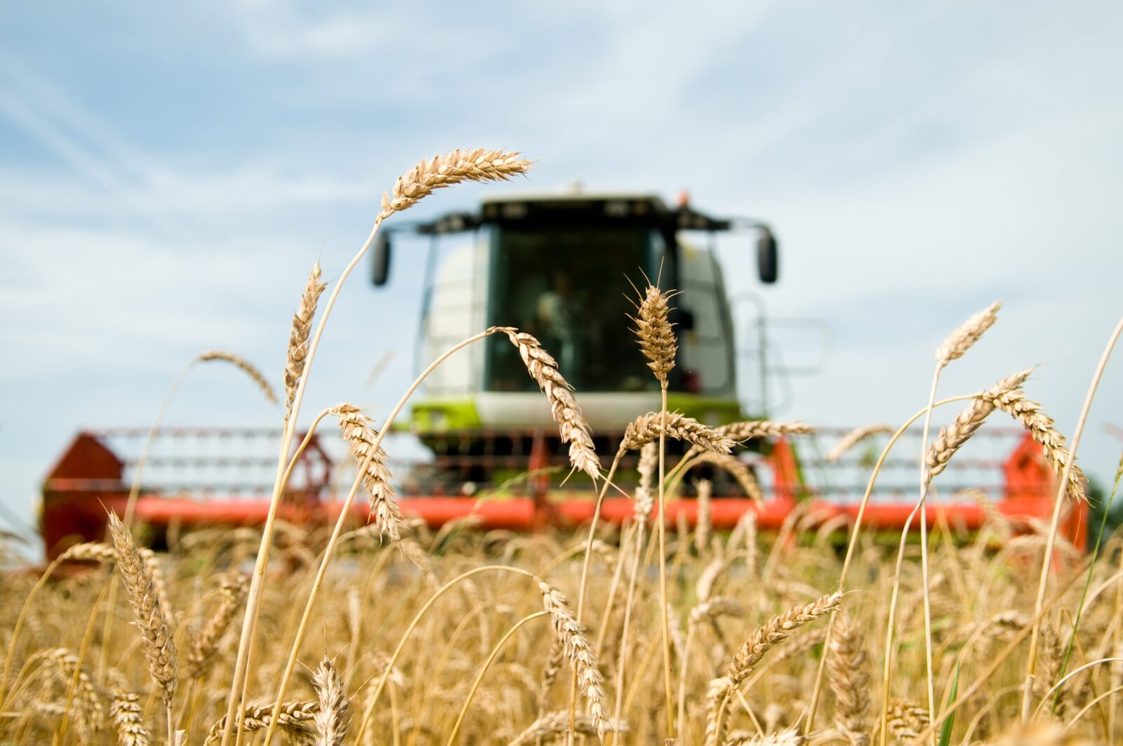 România: recolte bune, prețuri mari la alimente. Ce ne ascund consultanții