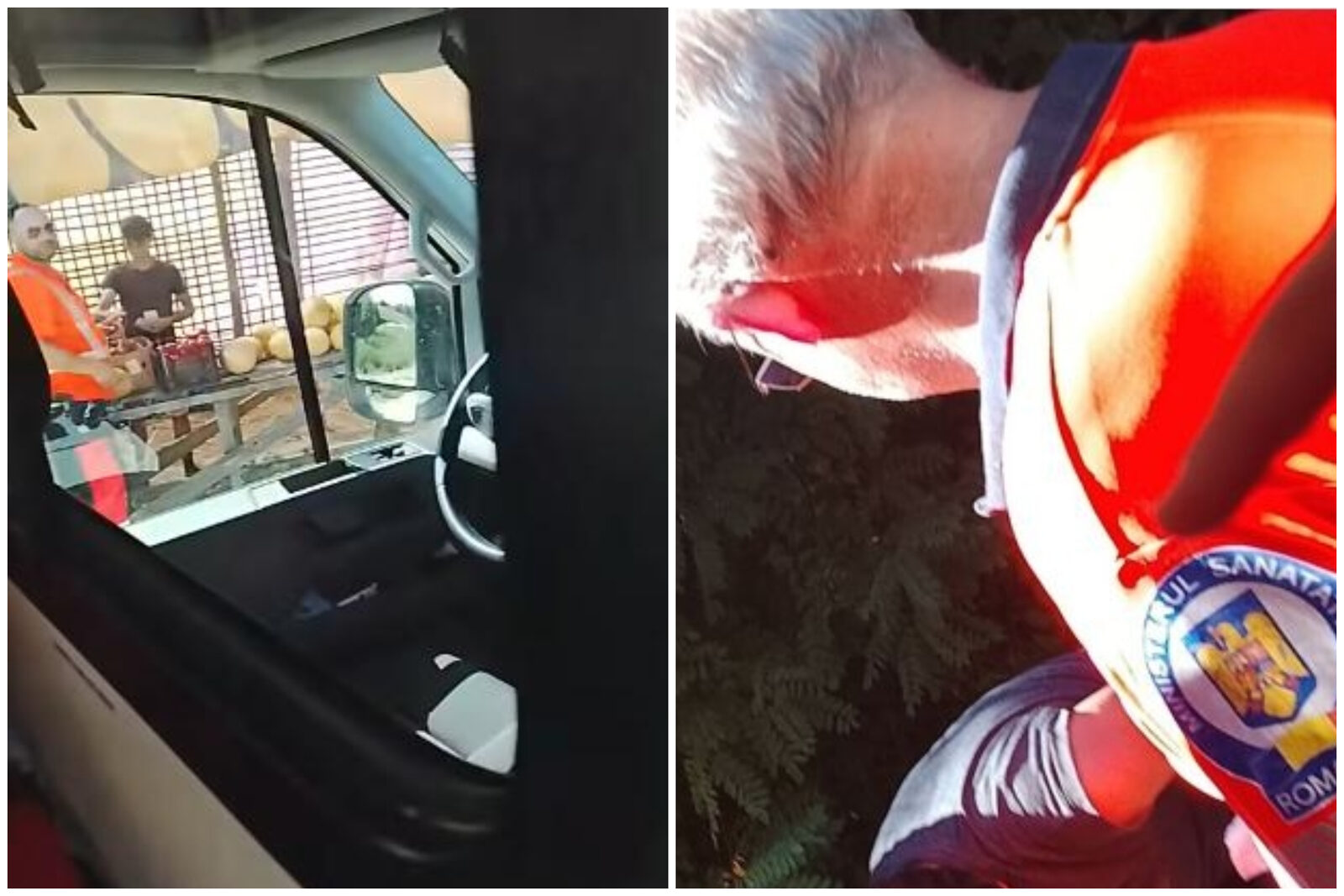 DSU anchetează fetița dusă cu salvarea la pepeni