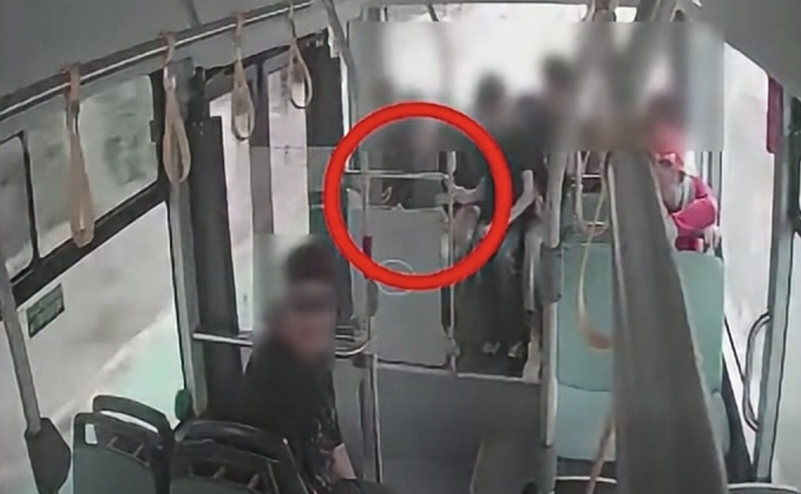 Bacău: Autobuze electrice noi, vandalizate în prima zi. Primar: Nesimțirea va fi taxată