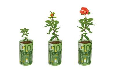Fermieri și grădinari, 100.000 EUR pentru flori și plante. Ghid AFIR