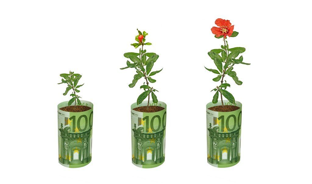 Fermieri și grădinari, 100.000 EUR pentru flori și plante. Ghid AFIR