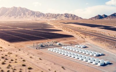Musk alimentează AI cu baterii Tesla. Miza uriașă, dezvăluită