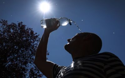 Germania, sufocată de caniculă. Când scade gerul