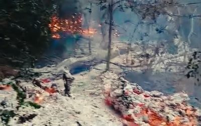 Incendiu lângă Plauru, brațul Chilia: MApN verifică zona