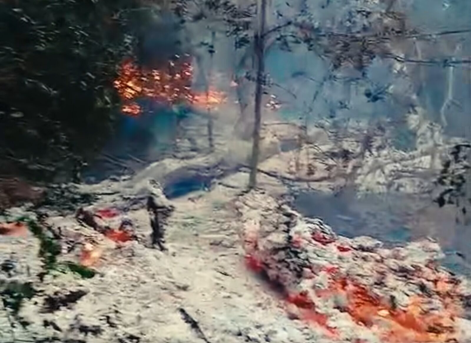 Incendiu lângă Plauru, brațul Chilia: MApN verifică zona
