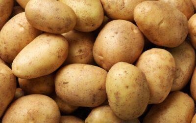 Cartof pe frunte: remediu băbesc sau mit?