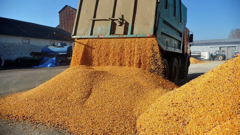 Cereale Ucraina: România, presată să clarifice controale și să protejeze fermierii