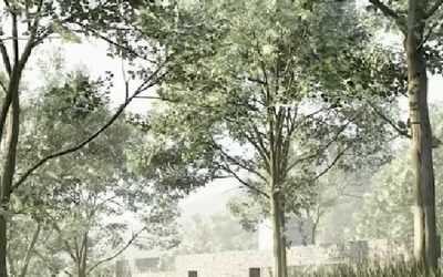 Clujul deschide primul cimitir public pentru animale