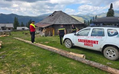 Cioban dispărut în Argeș: Drone și câini pe urme