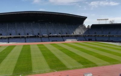 Dinamo-FCSB, Arena lui Cluj! Dinamoviștii, la apel