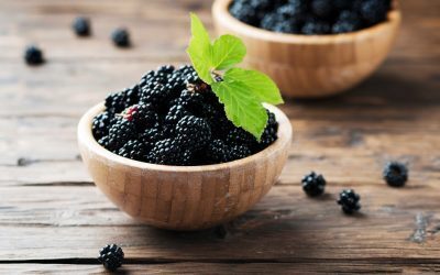 Coacăzele negre, dușmanul grăsimilor: Ce spun cercetătorii
