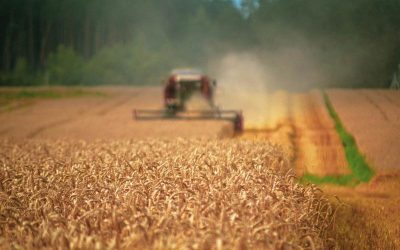 Ucraina: 220 mil. € de la UE pentru fermierii loviți