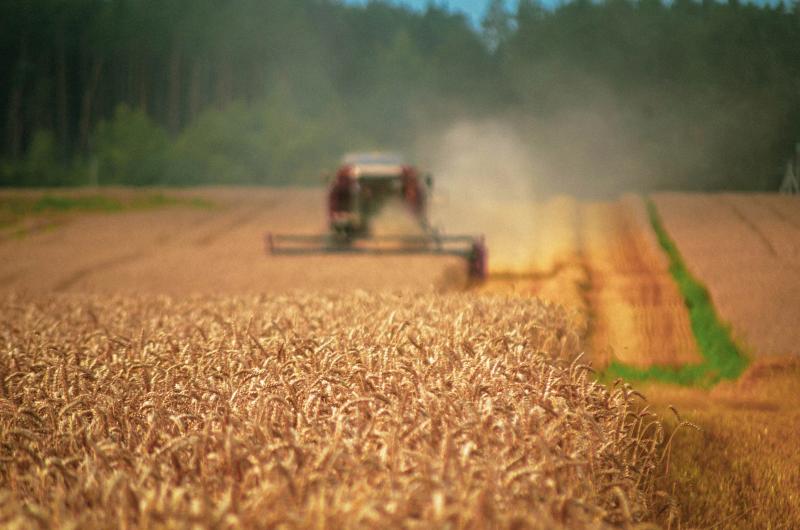 Ucraina: 220 mil. € de la UE pentru fermierii loviți