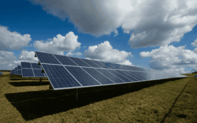 ARAD: Cel mai mare parc fotovoltaic din Europa, 1000 MW, autorizat de ANRE