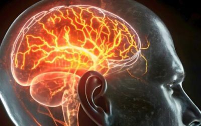 Aliment banal: 2 porții/săptămână cresc riscul de demență