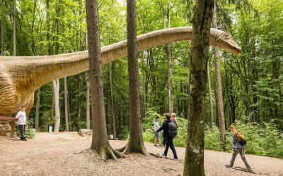 Dino Parc Râșnov, 4,5 mil vizitatori, 130 mil euro impact economic