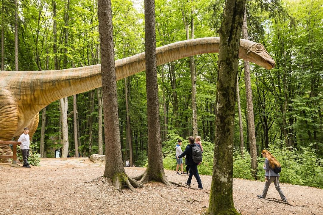 Dino Parc Râșnov, 4,5 mil vizitatori, 130 mil euro impact economic