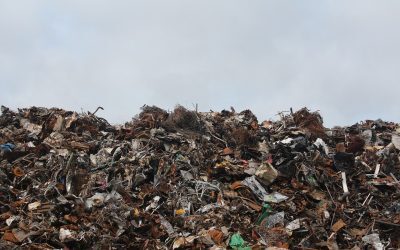 Firmă de deșeuri, blocată două luni. Soția procurorului, implicată