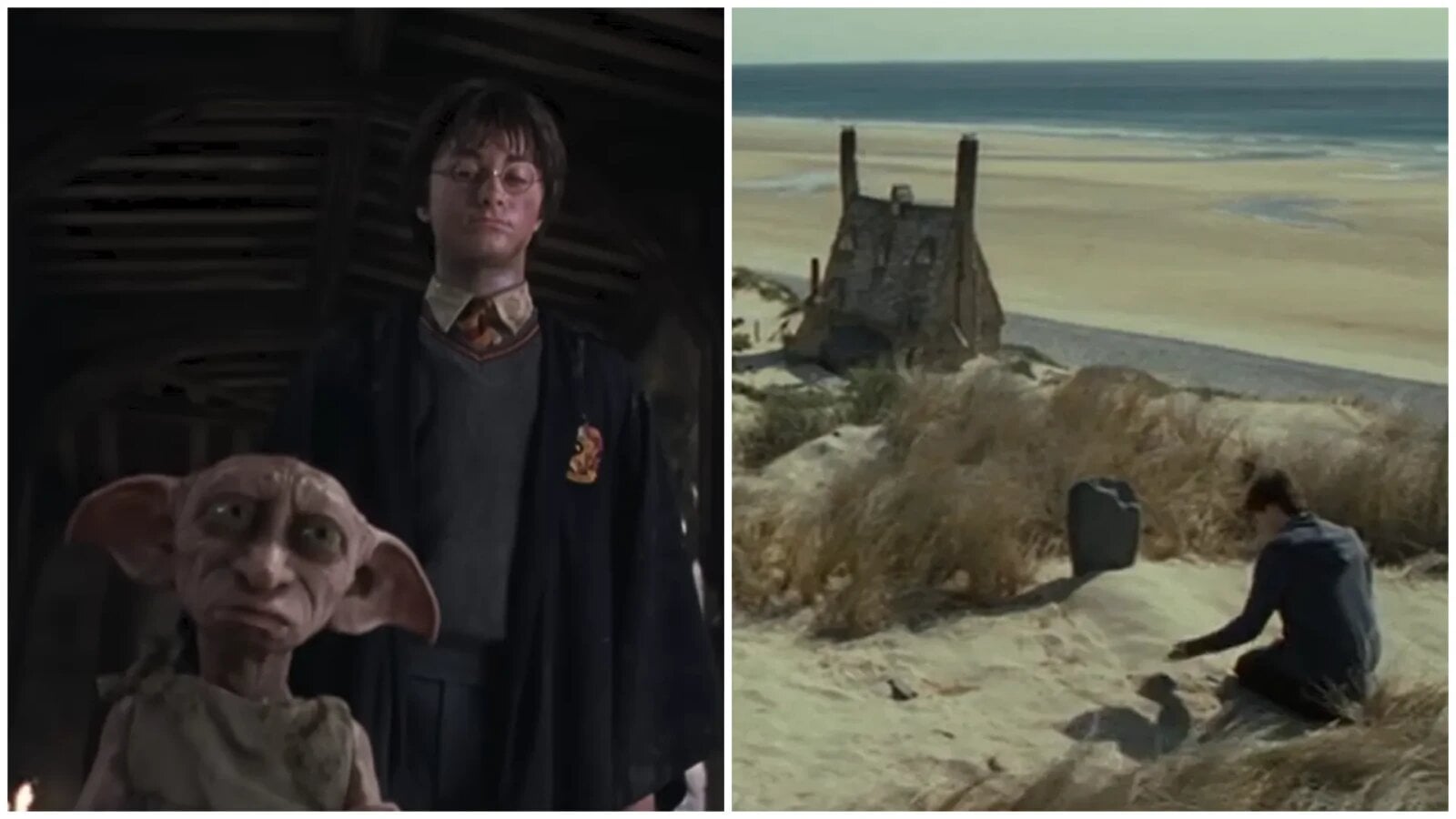 Fanii Harry Potter opresc proiect energetic, protejând „mormântul” lui Dobby