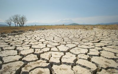 Secetă prelungită în Nordul României