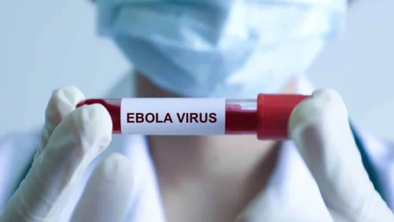 Epidemia avansează fulgerător: Record mondial de viteză