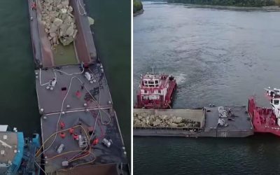Cernavodă: Buzoianu dezvăluie eșecul cauzat de debitul de apă