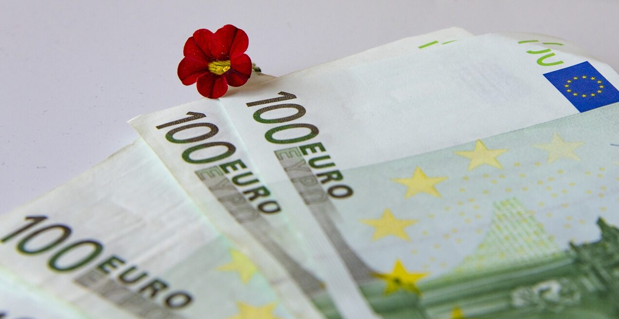 AFIR: 5 mil. EUR pentru flori și plante, cereri din 1 septembrie