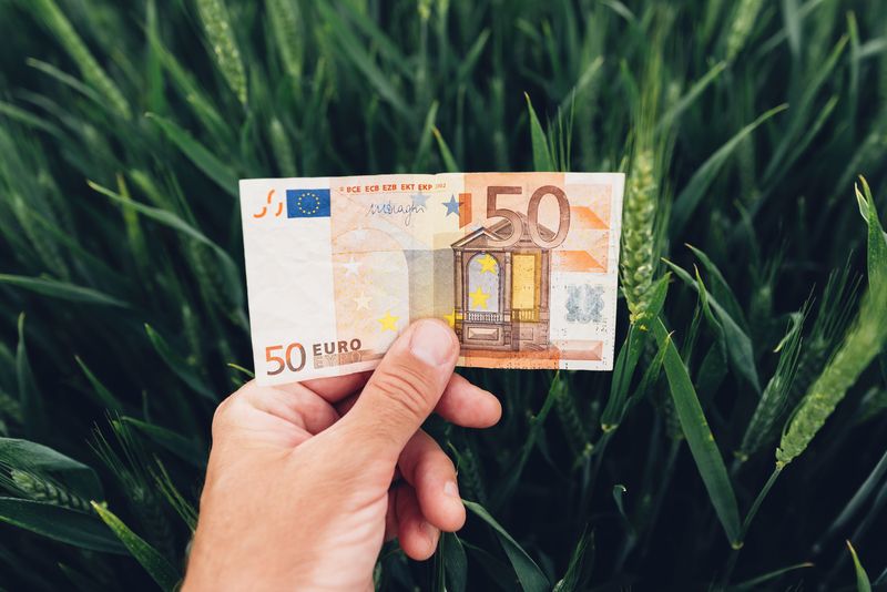 Fonduri UE 2026: 50.000 EUR pentru ferme mici. Ghid AFIR oficial