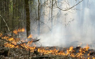 Incendiu în sud-estul României, după explozia unei drone